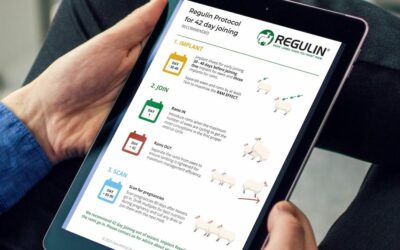 Regulin Protocols